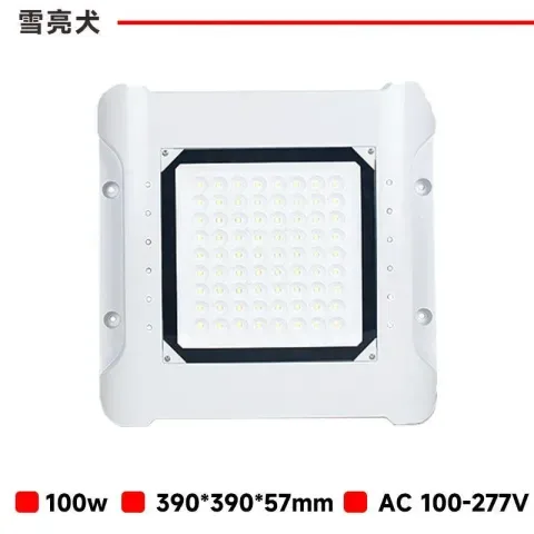 100W加油站防爆灯B款 DT-B7022
