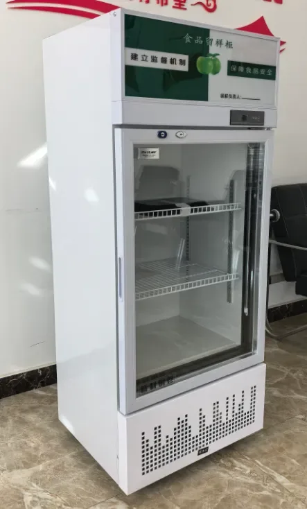 双锁两层留样柜A款 主图