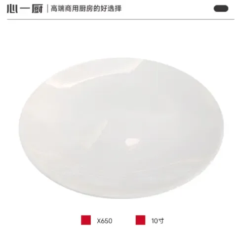 陶瓷圆盘 10寸、5个 X650